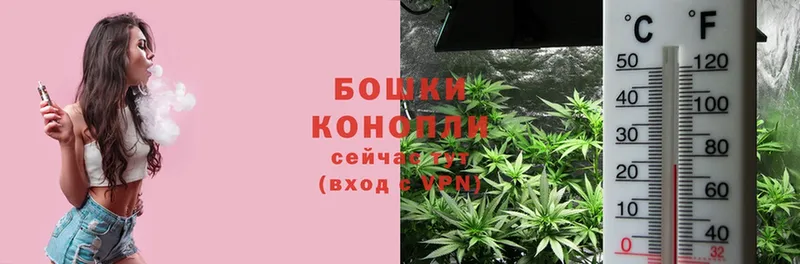 Где купить наркотики Ленинск-Кузнецкий hydra сайт  СК  МДМА  ГАШ  Конопля  Cocaine 